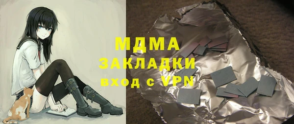 мдпв Ладушкин
