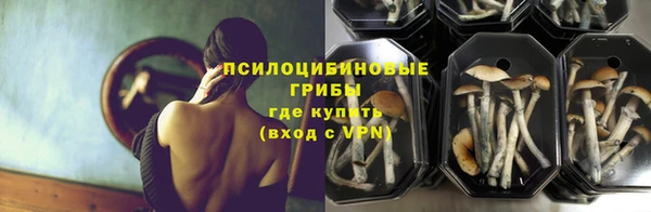 стаф Абинск
