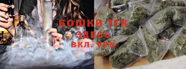 дурь Лагань