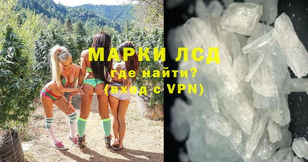 стаф Абинск