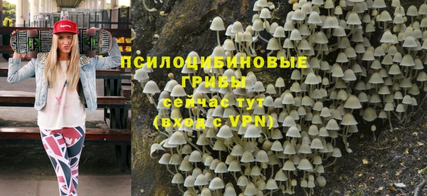 стаф Абинск