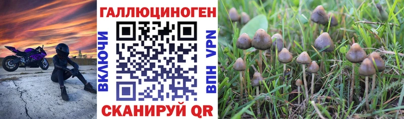 Галлюциногенные грибы Psilocybine cubensis  где продают   Спас-Клепики 
